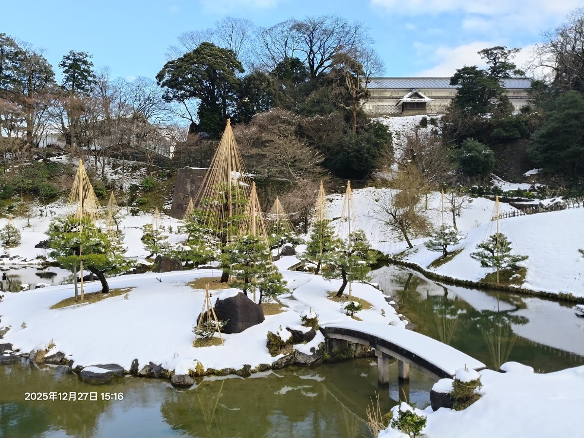 冬季雪景中的庭園與松樹包草