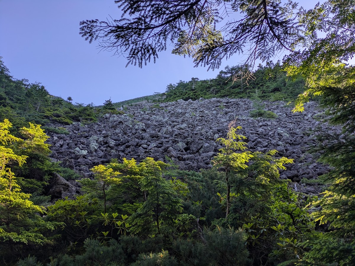 南阿爾卑斯國家公園(南アルプス国立公園) 實景照片 9