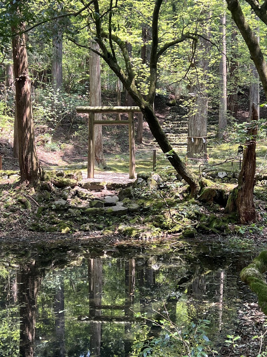 平泉寺白山神社 實景照片 9