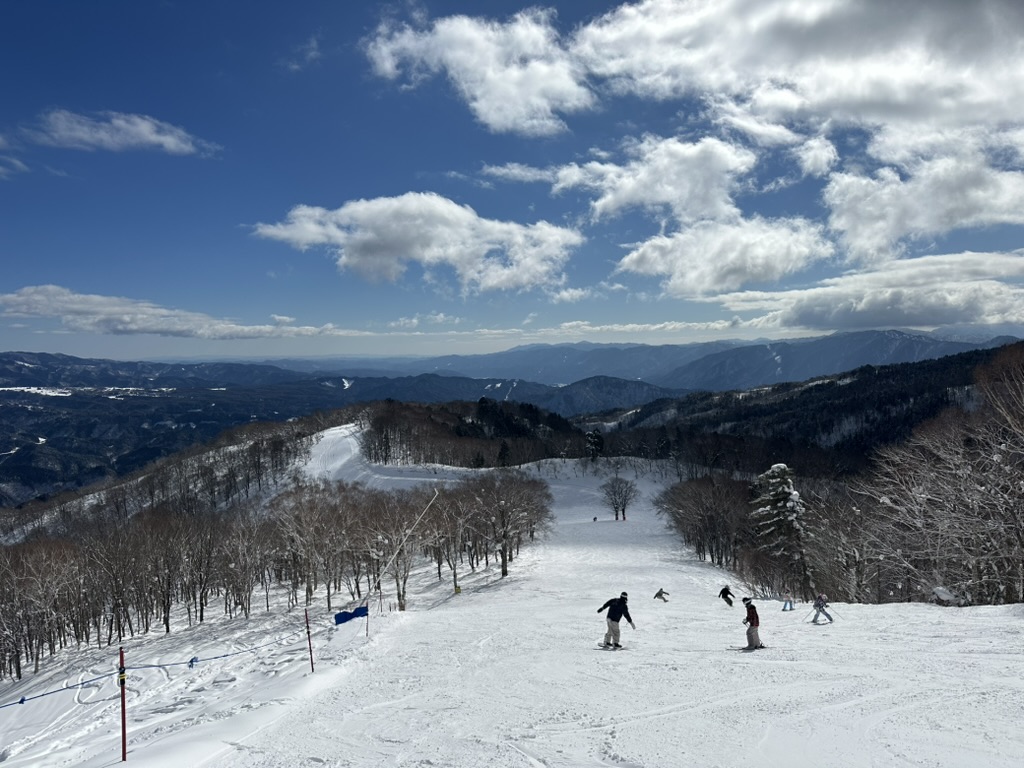 高鷲Snow Park(高鷲スノーパーク) 實景照片 2