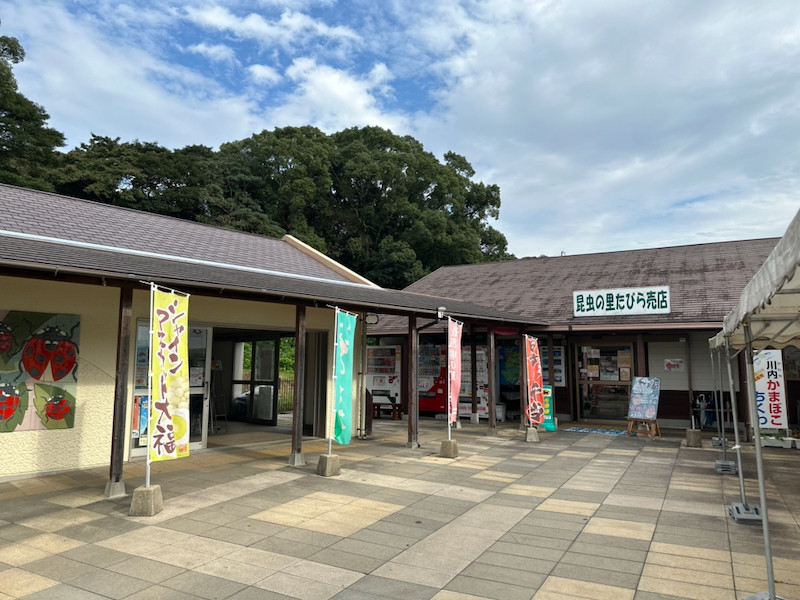 道之驛 昆蟲之里田平（道の駅 昆虫の里たびら） 實景照片 3