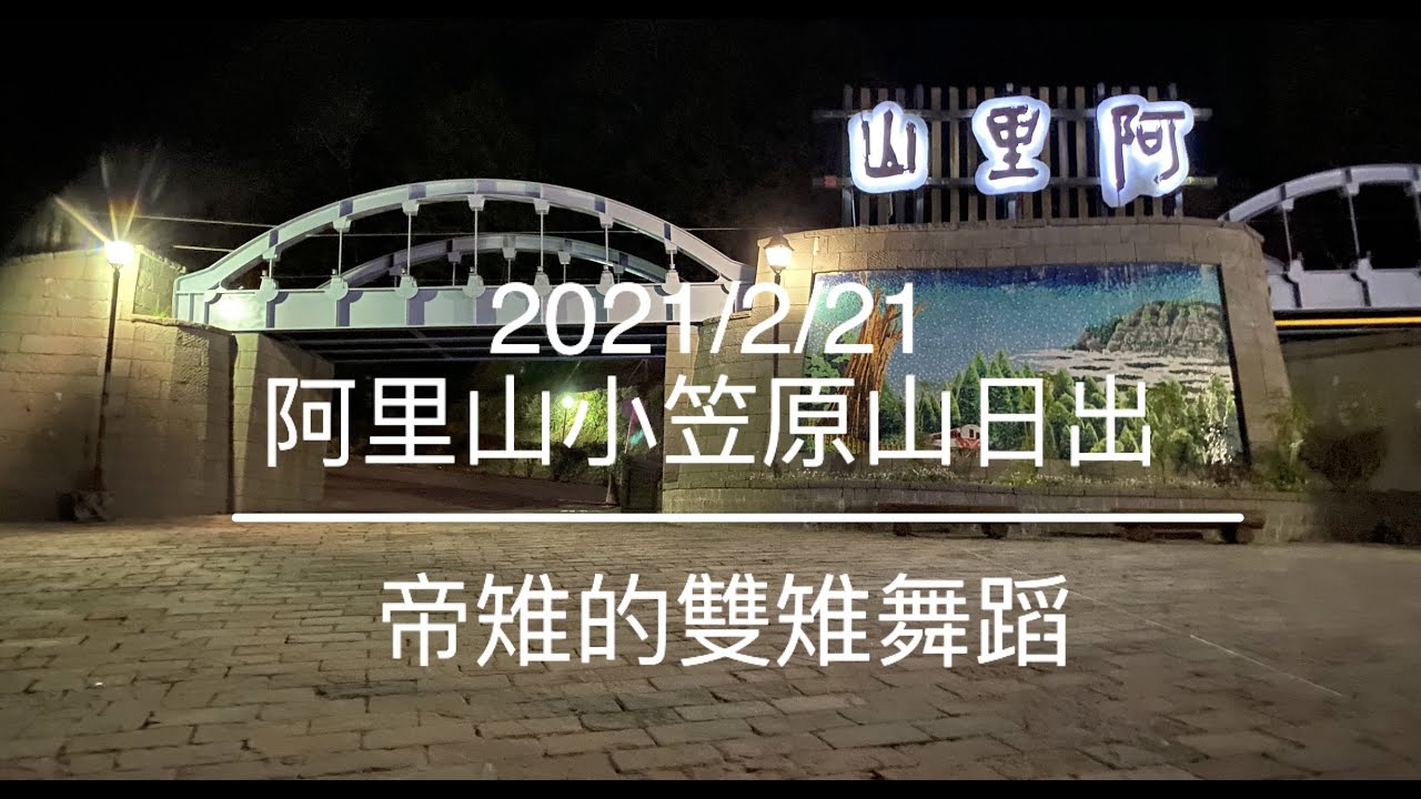 ［登山活動］20210221阿里山(Alishan)小笠原山(Ogasawara)日出｜帝雉的雙雉舞蹈