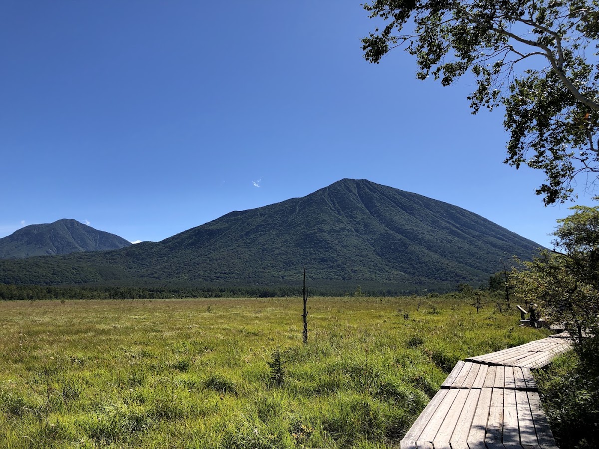 戰場原(戦場ヶ原) 實景照片 2