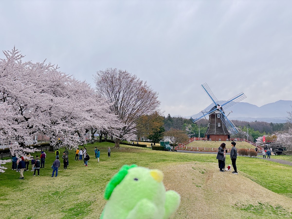道之驛 綠花牧場大胡(道の駅 ぐりーんふらわー牧場・大胡) 實景照片 3
