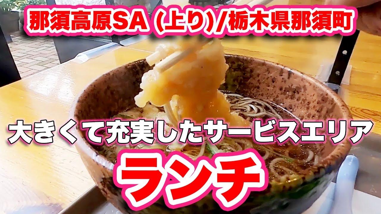 那須高原SA (上り)/栃木県那須町【ランチ】充実した設備のサービスエリアでカキフライ定食とエビ天蕎麦【旅行VLOG】東北自動車道,電車,フードコート,エビ天蕎麦,蕎麦,エビ天,カキフライ,桃