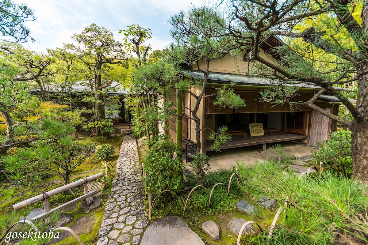 日本庭園 有樂苑（日本庭園 有楽苑） 實景照片 2