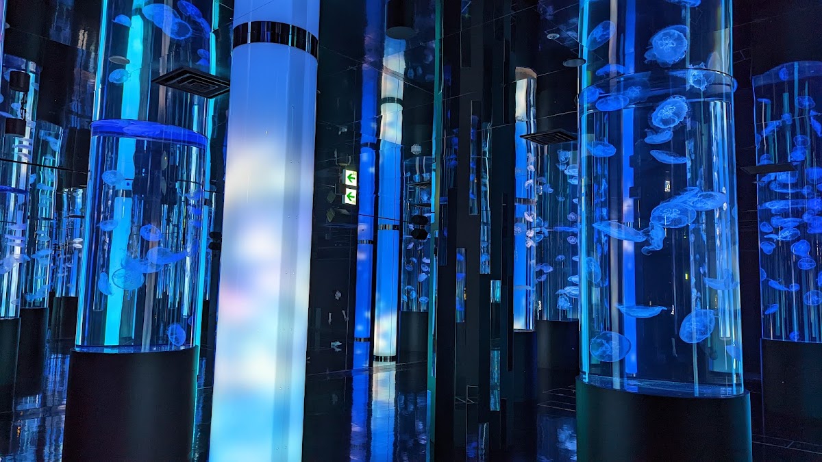 藍光水族館中的水母圓柱展示