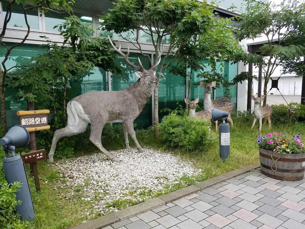 釧路機場 KUH(たんちょう釧路空港) 實景照片 5
