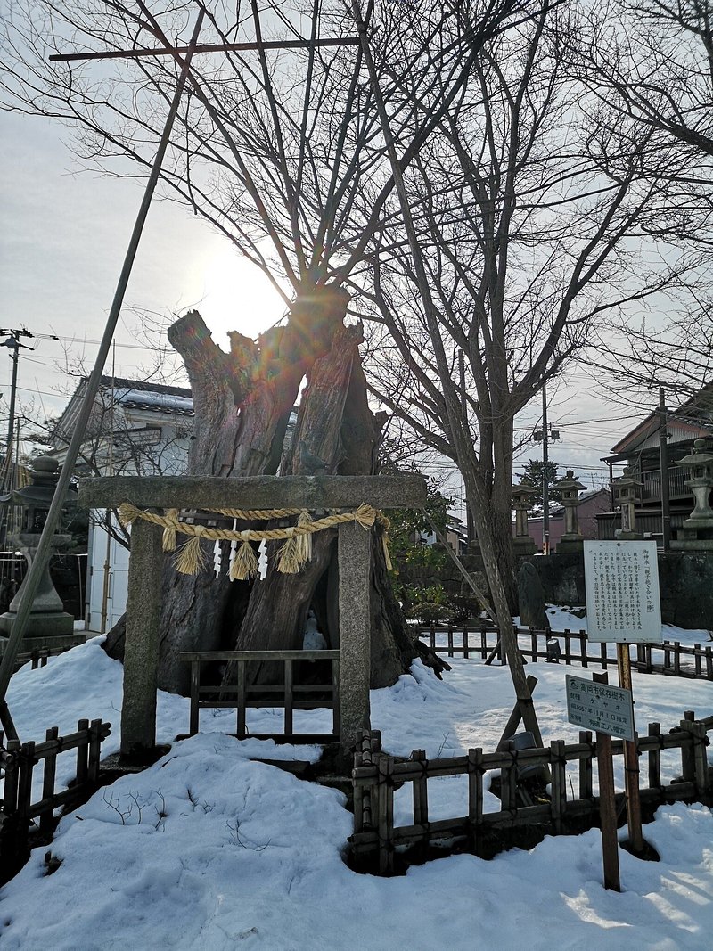 金屋町 實景照片 5