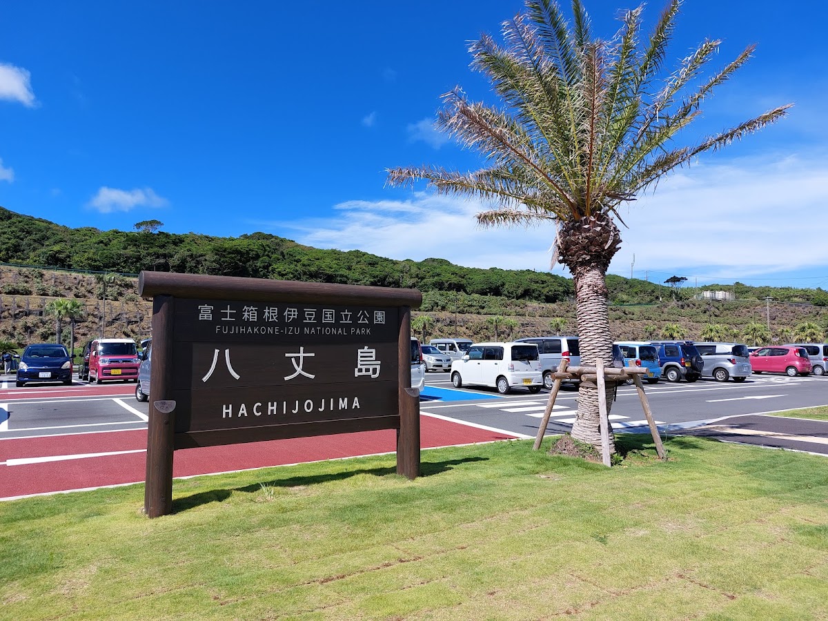 八丈島機場 HAC（八丈島空港） 實景照片 10