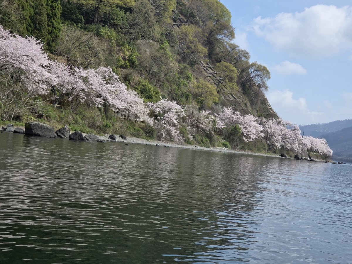 海津大崎 實景照片 3