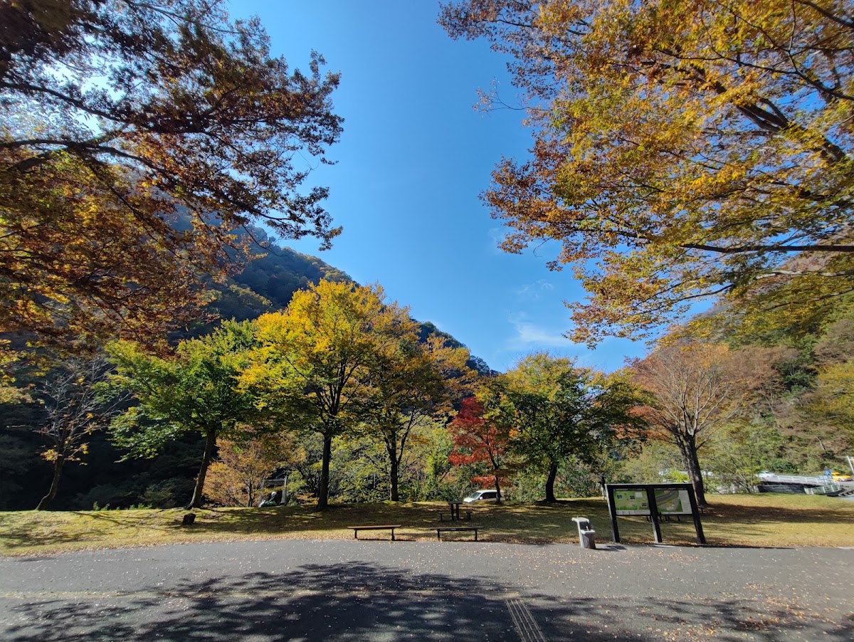白山自然保護中心 中宮展示館（白山自然保護センター 中宮展示館） 實景照片 3