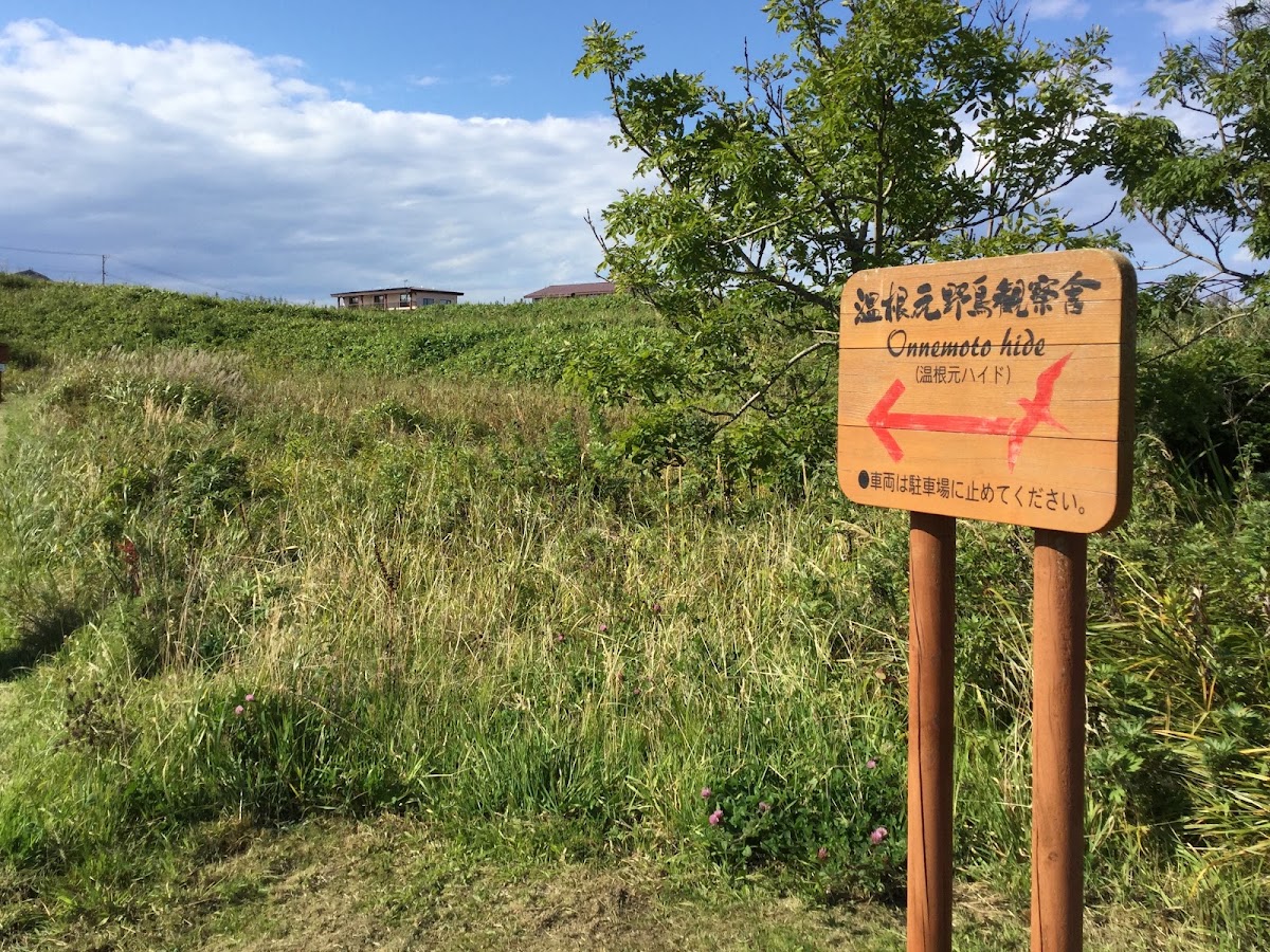 根室半島砦跡群(根室半島チャシ跡群) 實景照片 7