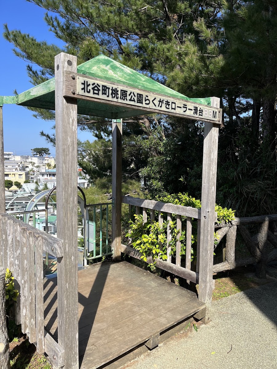 桃原公園 實景照片 10