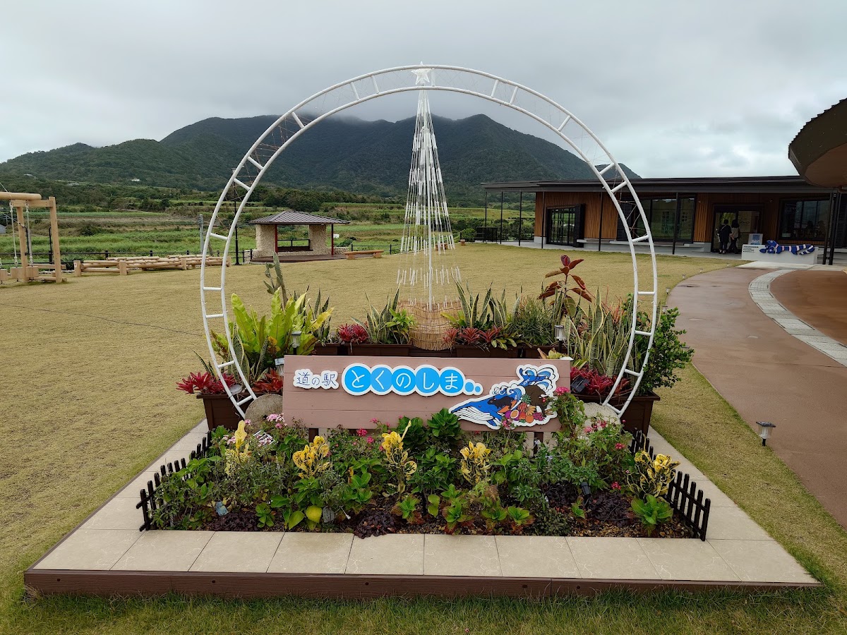 道之驛 德之島(道の駅 とくのしま) 實景照片 8