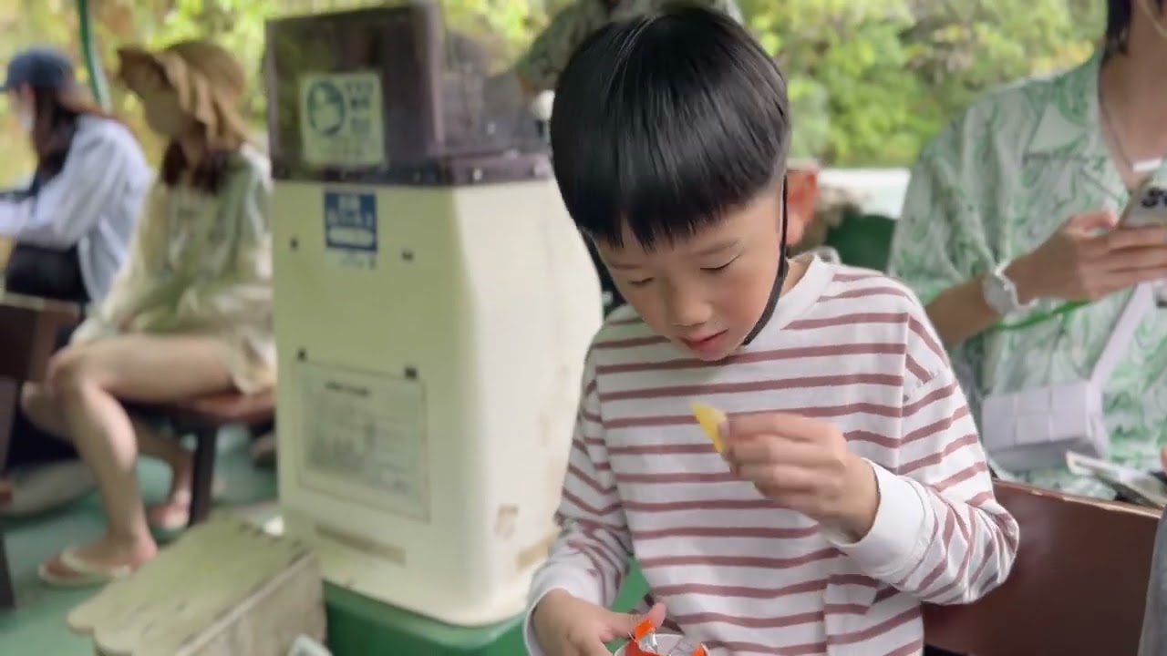 日本旅遊「沖繩自駕自由行 BIOS之丘」直往天際的原木鞦韆 ❤️ 超適合親子互動的景點