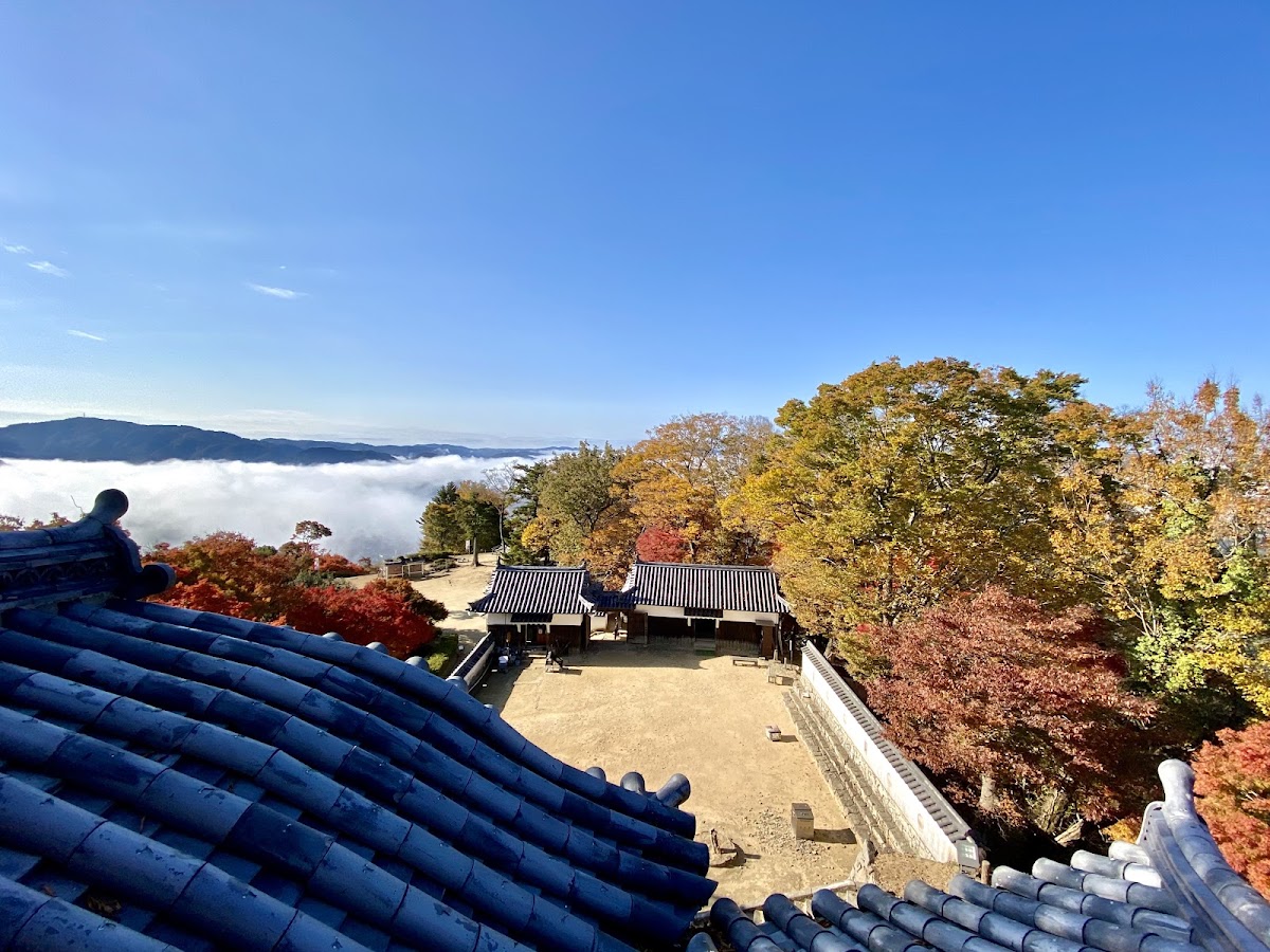 從城頂俯瞰壯觀雲海與山景
