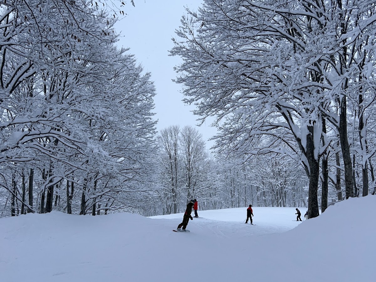 石打丸山滑雪場(石打丸山スキー場) 實景照片 5