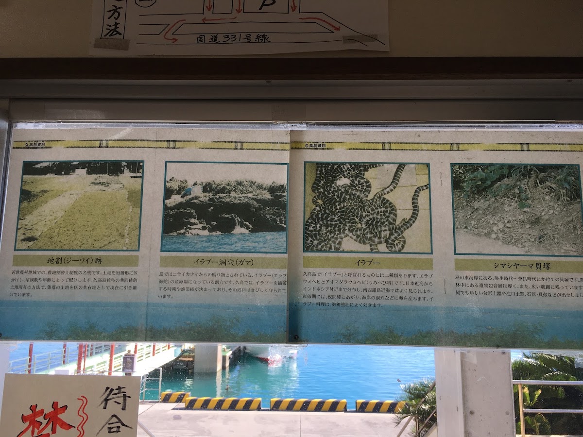 安座真港 實景照片 9