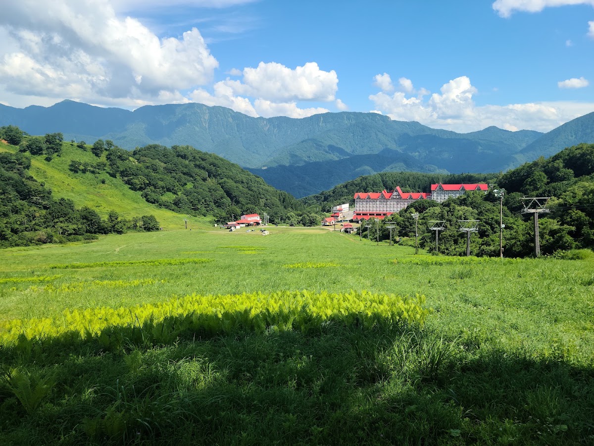 白馬科爾蒂納滑雪場(白馬コルチナスキー場) 實景照片 7