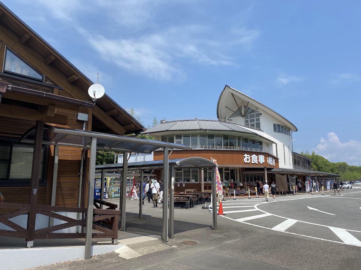 道之驛 紀寶町海龜公園（道の駅 紀宝町ウミガメ公園） 實景照片 6