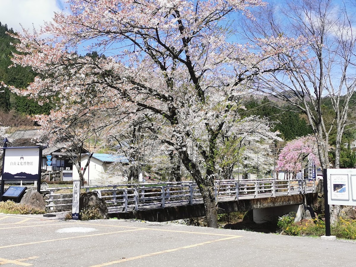 清流長良川香魚公園（清流長良川あゆパーク） 實景照片 9