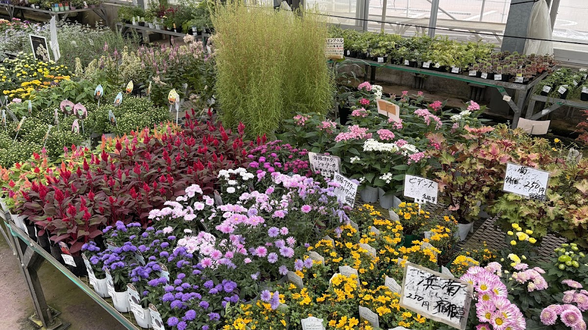 道之驛 花夢里新津（道の駅 花夢里にいつ） 實景照片 5