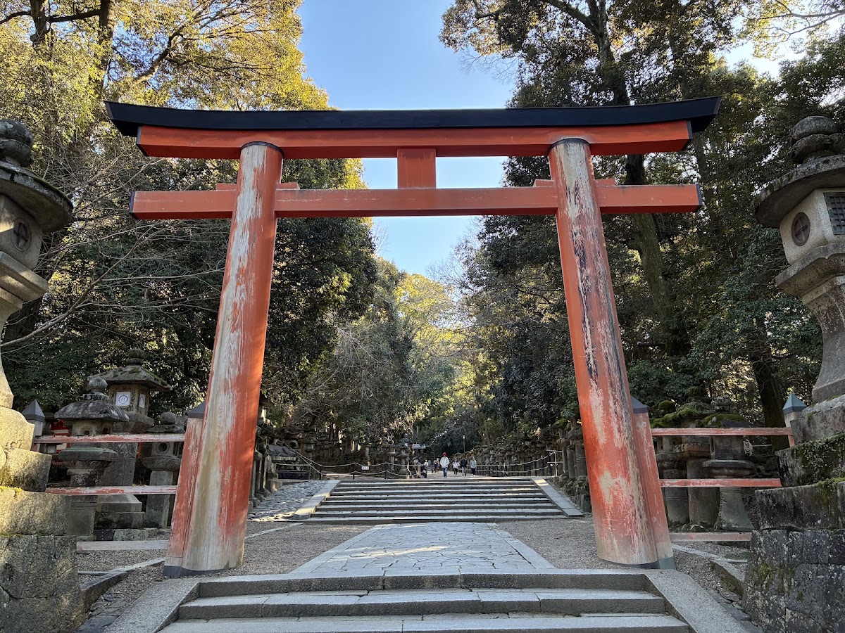春日大社 實景照片 7