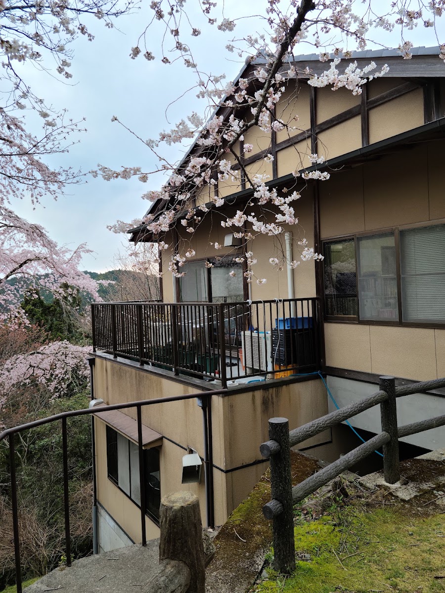 吉野山 實景照片 9
