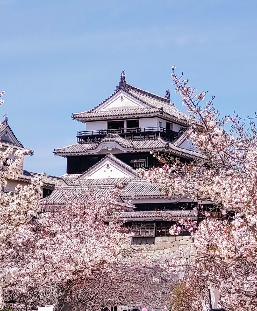 松山城 實景照片 1