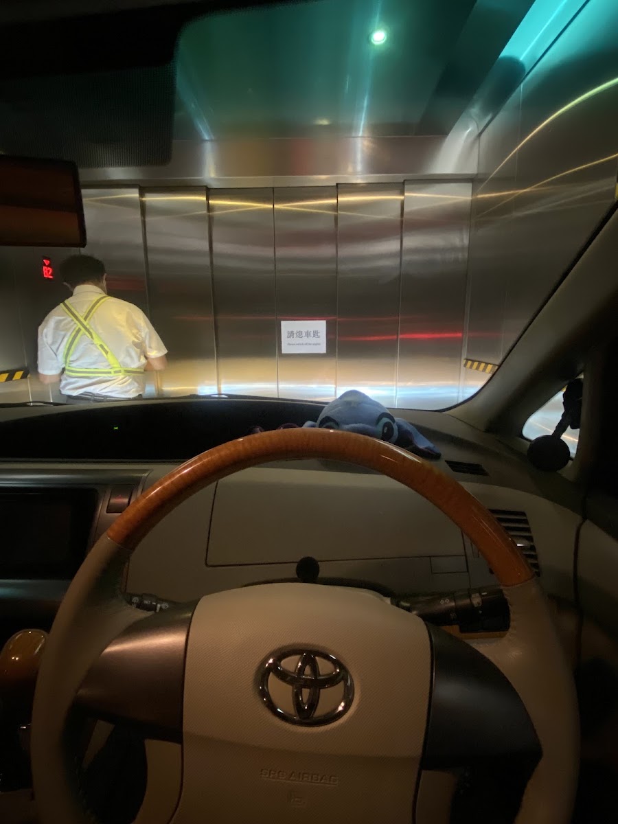 灣仔英皇集團中心 Emperor Group Centre 停車場 實景照片 6