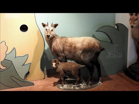 中宮展示館