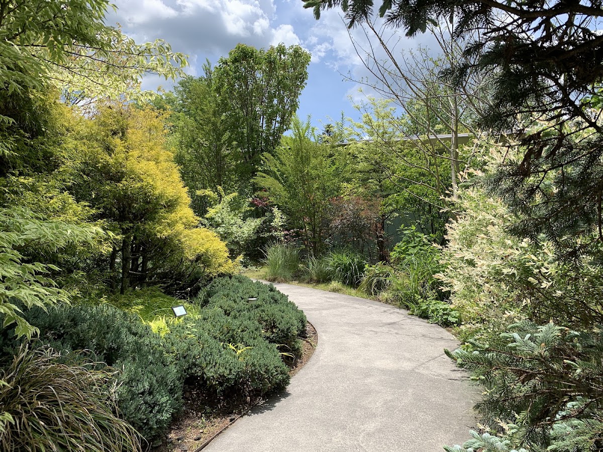 輕井澤千住博美術館(軽井沢千住博美術館) 實景照片 9