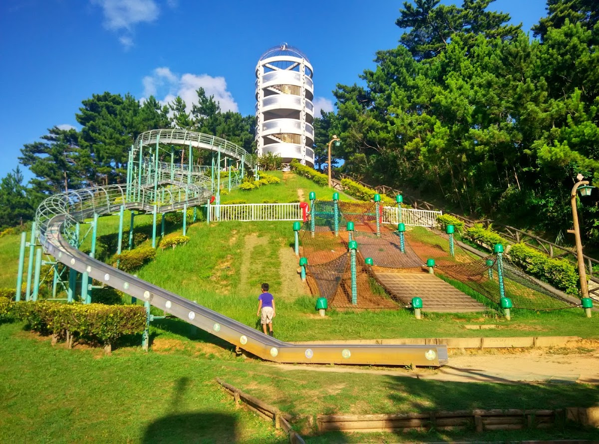 桃原公園溜滑梯與觀景塔大景