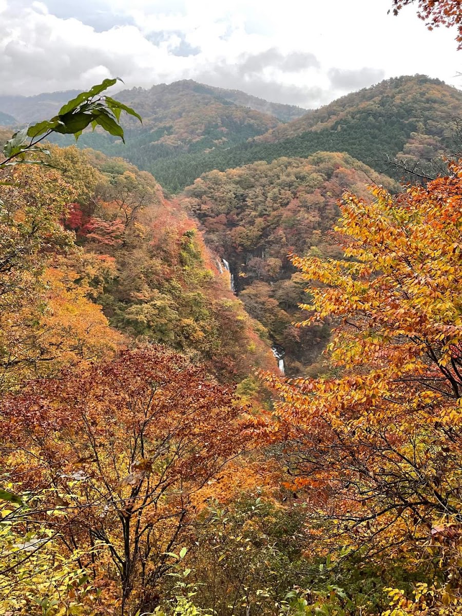 霧降瀑布(霧降の滝) 實景照片 4