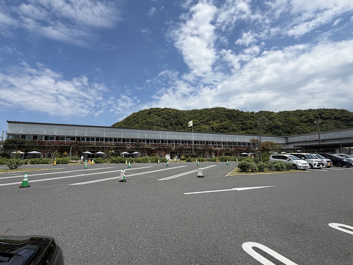 道之驛 保田小學校（道の駅 保田小学校） 實景照片 4