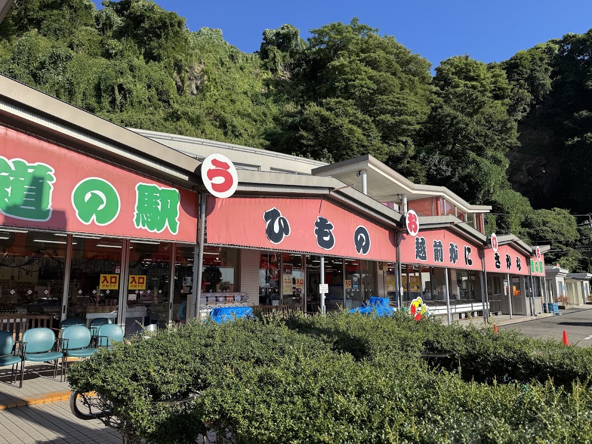 道之驛 越前(道の駅 越前) 實景照片 6