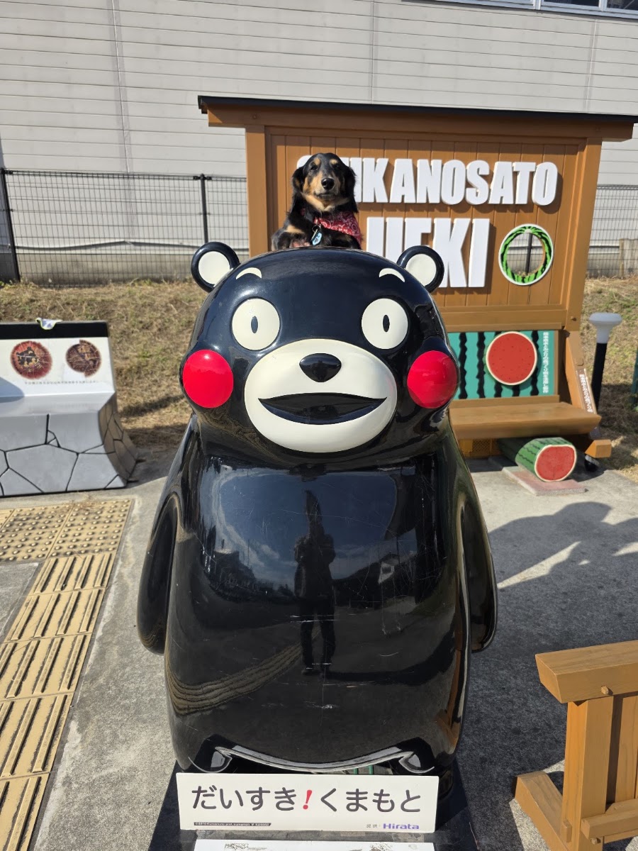 道之驛 西瓜之鄉植木(道の駅 すいかの里 植木) 實景照片 10