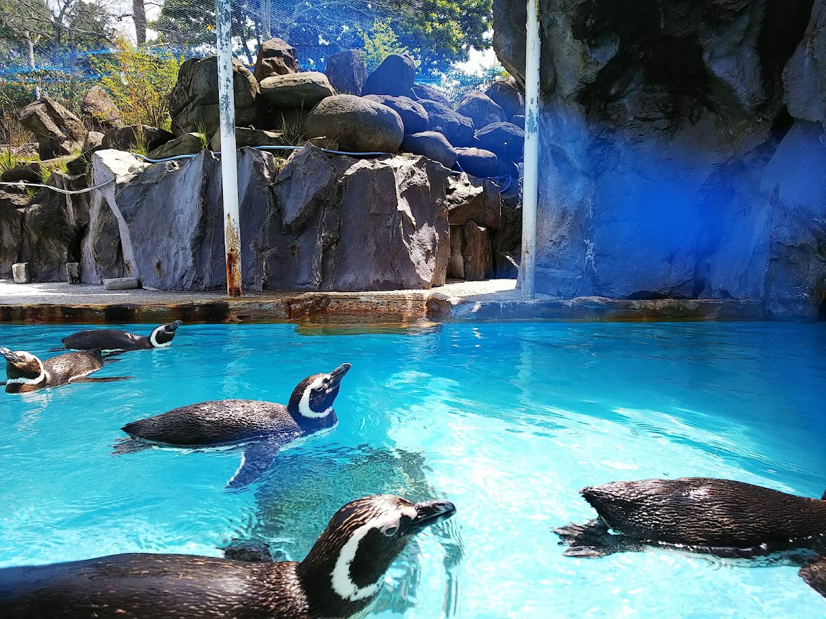 能登島水族館(のとじま水族館) 實景照片 10