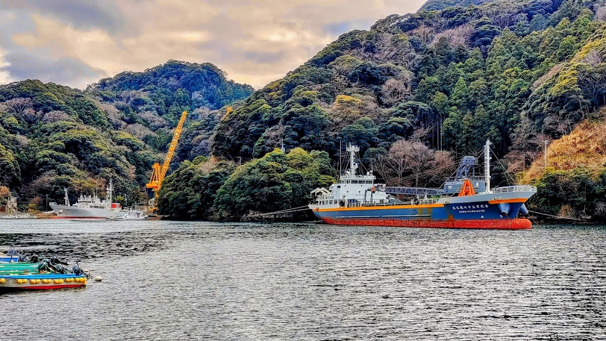 西伊豆安良里海之驛(にしいず・あらりしっぷ海の駅) 實景照片 7