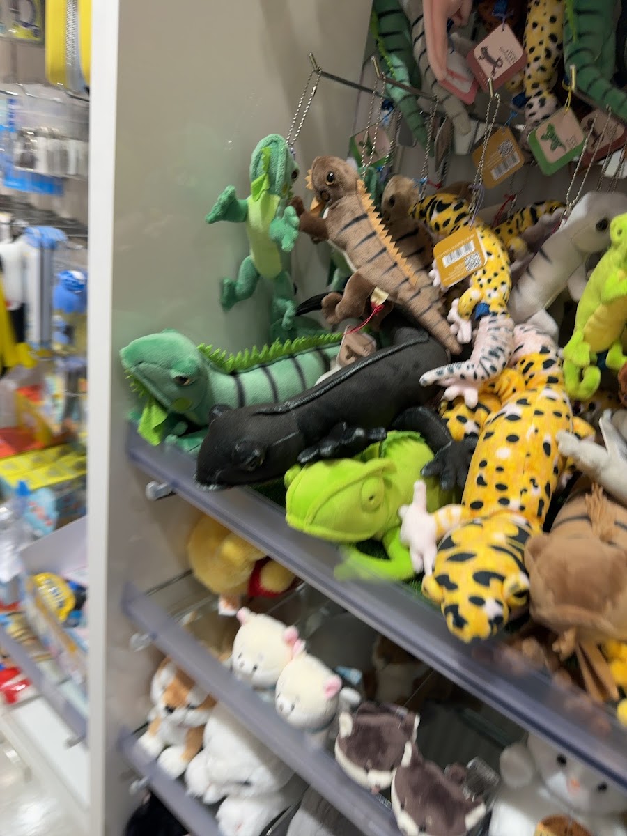 KIDDY LAND 光之丘店（キデイランド 光が丘店） 實景照片 4