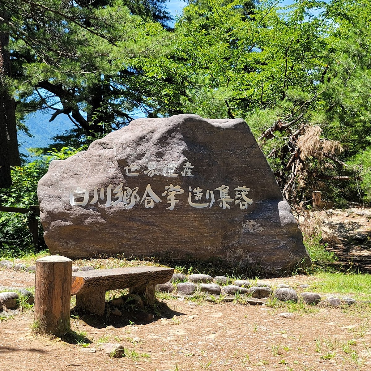 城山天守閣展望台（城山天守閣 展望台） 實景照片 7