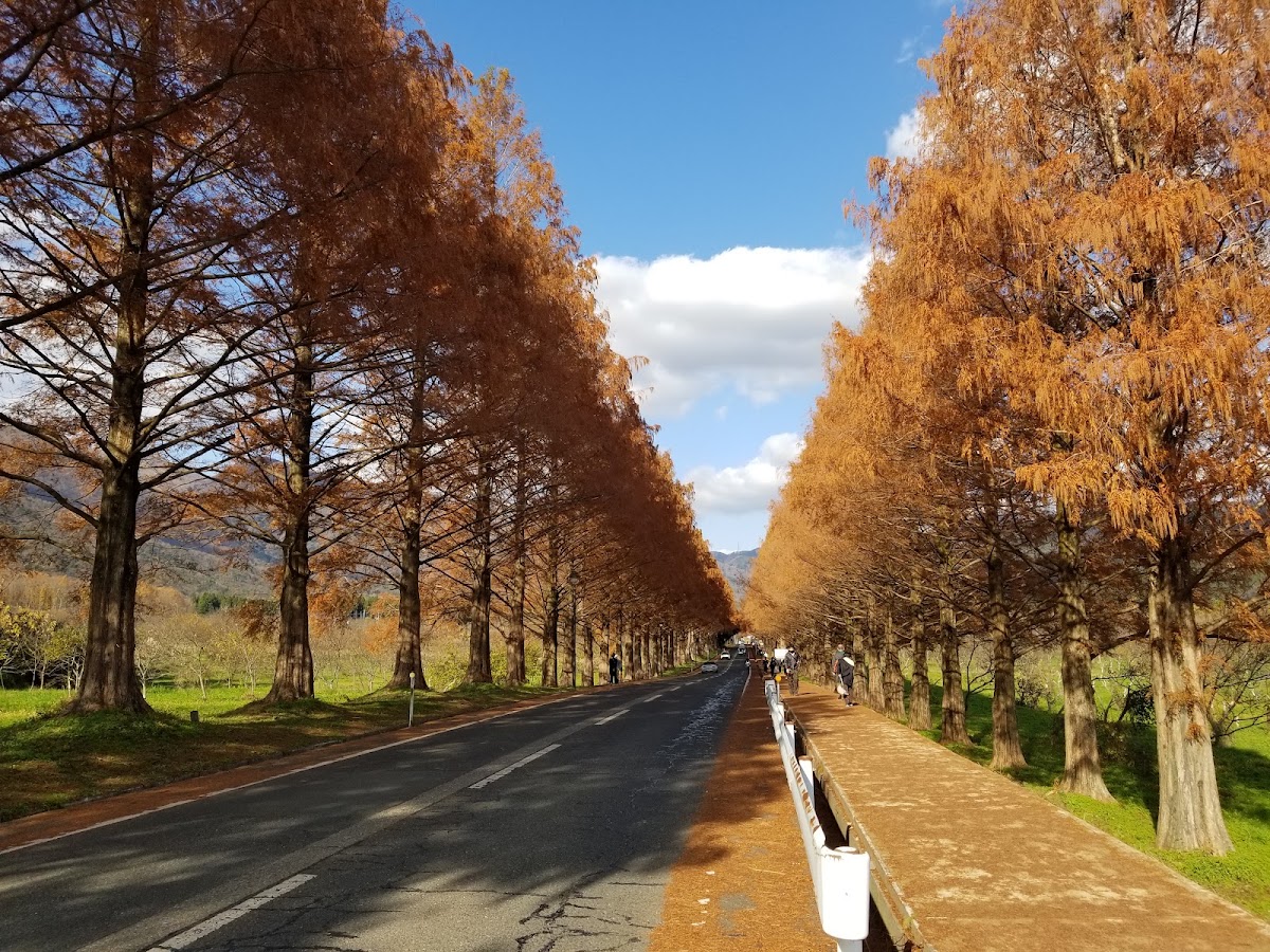 農業公園牧野Pic-land（農業公園マキノピックランド） 實景照片 1