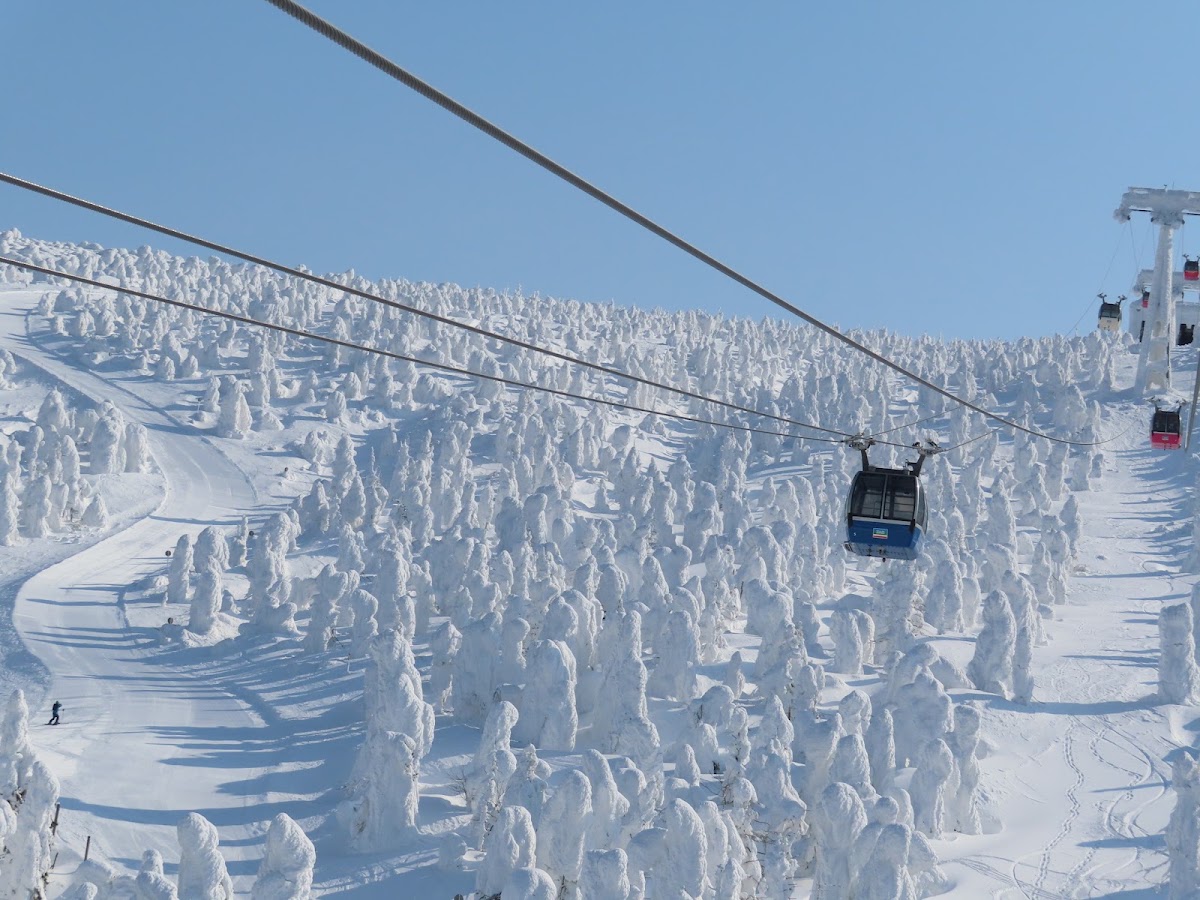 山形藏王溫泉滑雪場（山形蔵王温泉スキー場） 實景照片 4