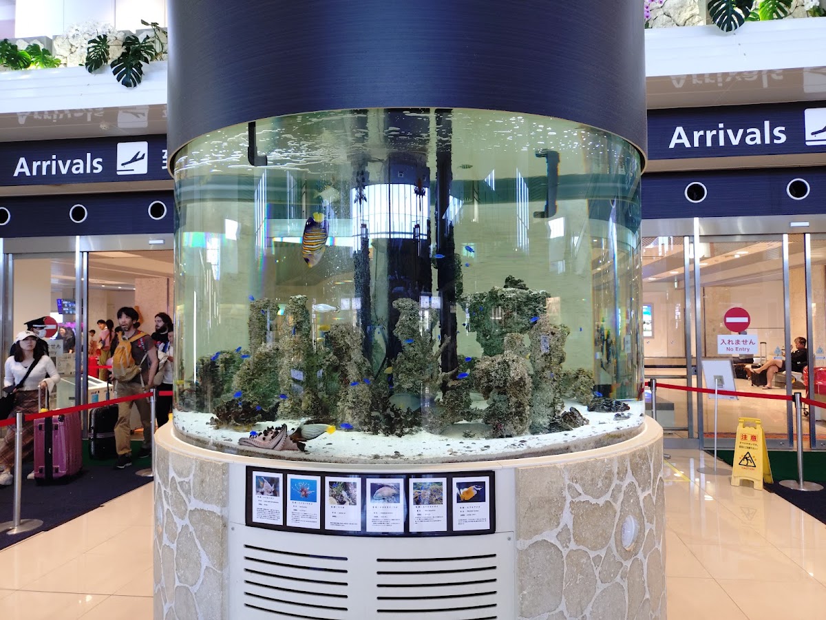 新石垣機場 ISG(新石垣空港) 實景照片 9