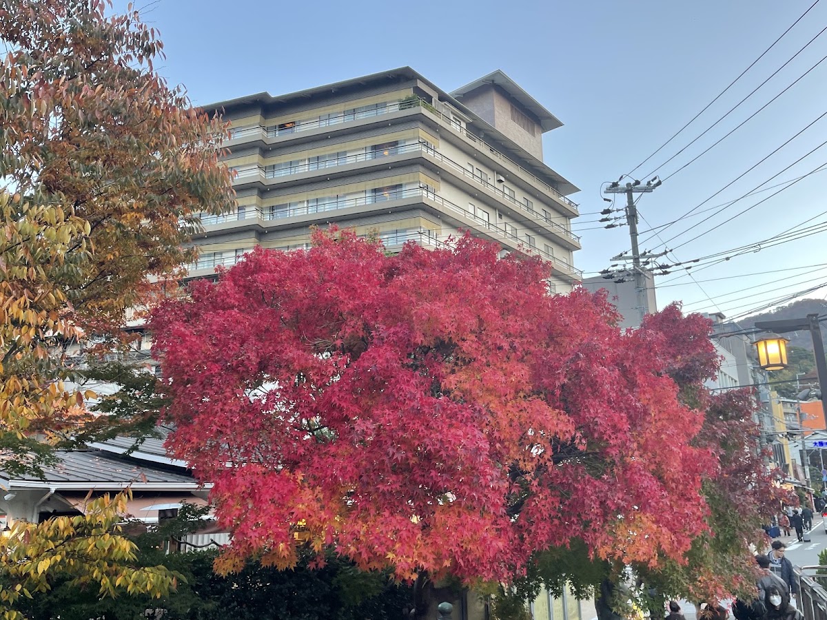 秋季紅葉與飯店建築景觀