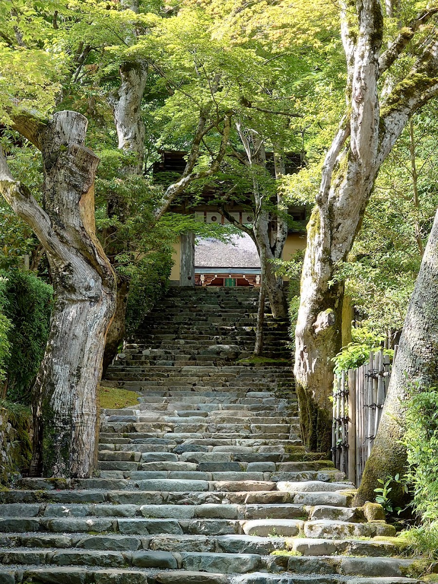 寂光院 實景照片 4