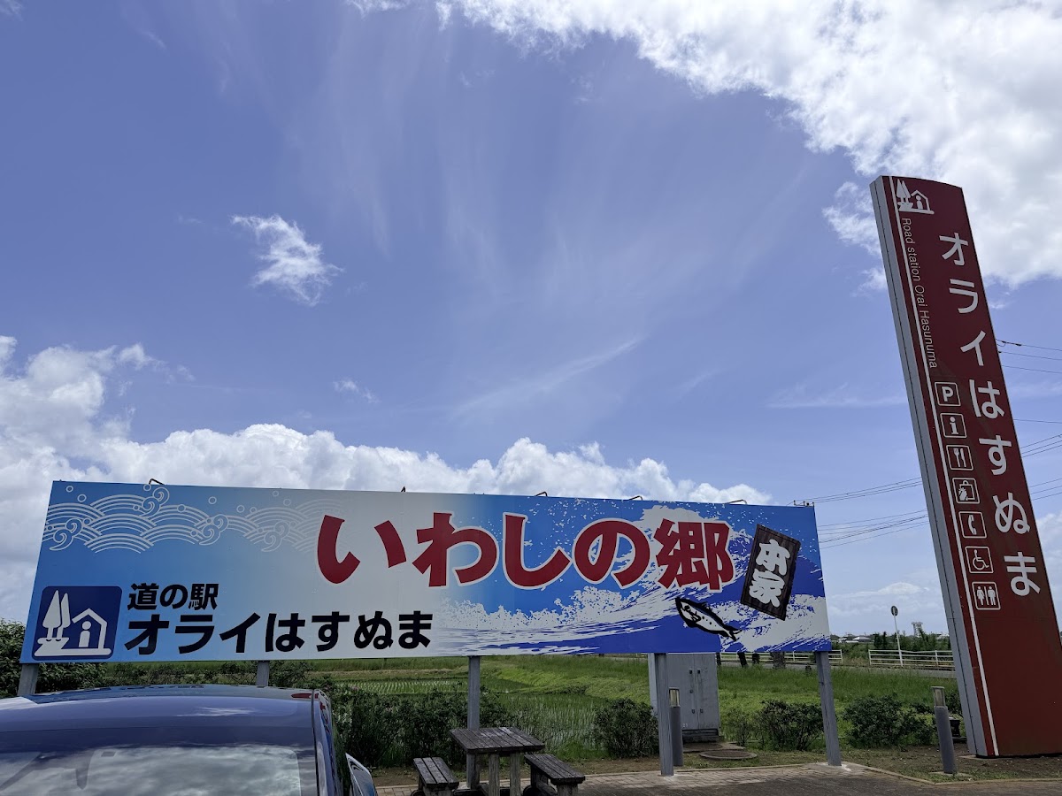 道之驛 蓮沼(道の駅 オライはすぬま) 實景照片 6