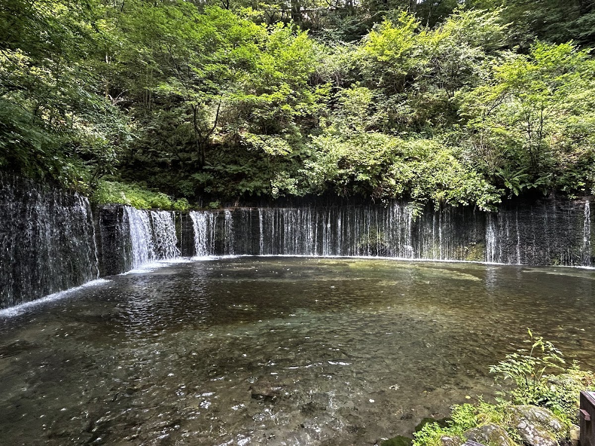 上信越高原國家公園(上信越高原国立公園) 實景照片 2