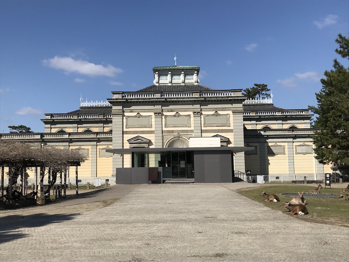 奈良國立博物館（奈良国立博物館） 實景照片 5